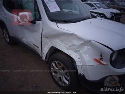 جيب رينيجيد